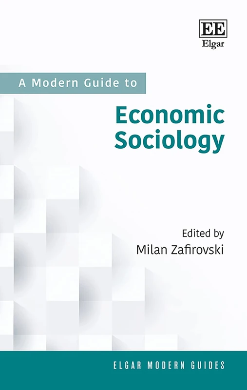 A Modern Guide to Economic Sociology (Elgar Modern Guides)