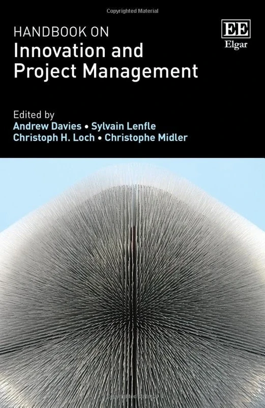 Handbook on Innovation and Project Management
