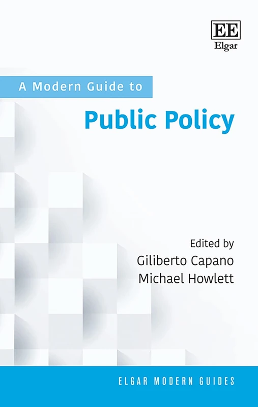 A Modern Guide to Public Policy (Elgar Modern Guides)