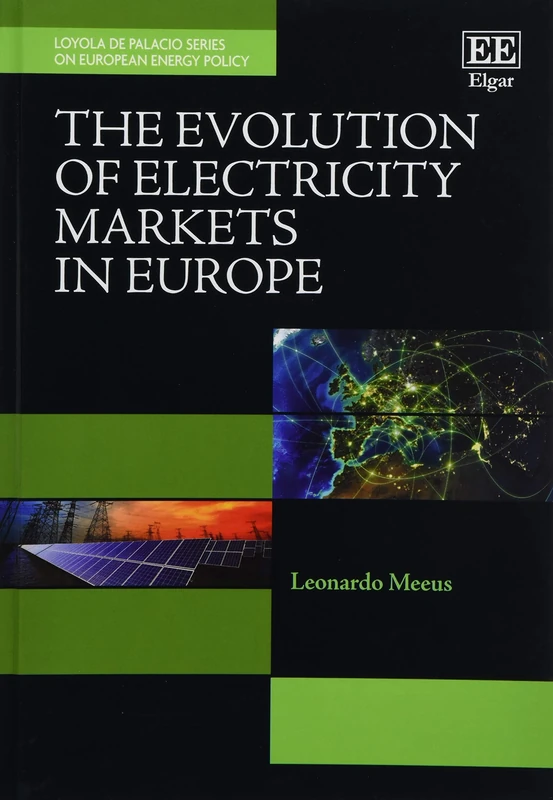 The Evolution of Electricity Markets in Europe (Loyola de Palacio Series on European Energy Policy)