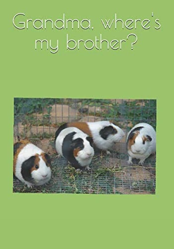 Grandma, where's my brother?
