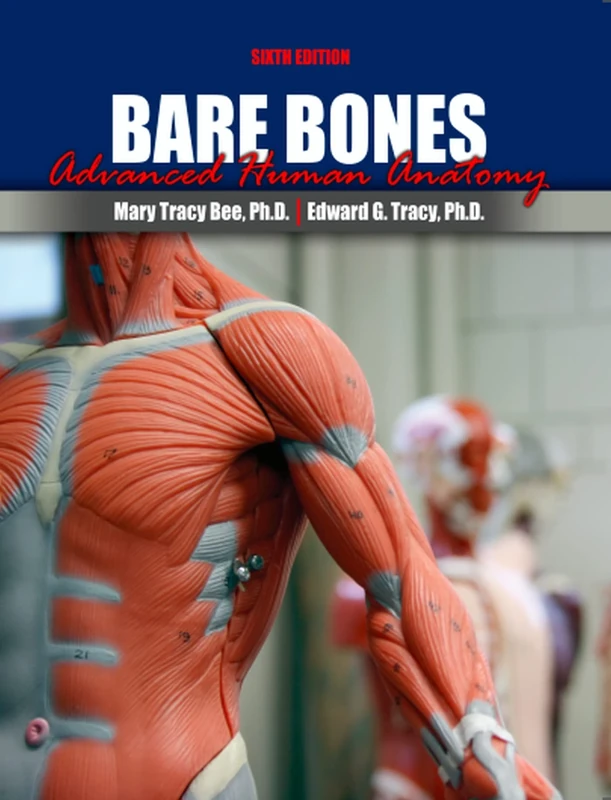 Bare Bones: Advanced Human Anatomy