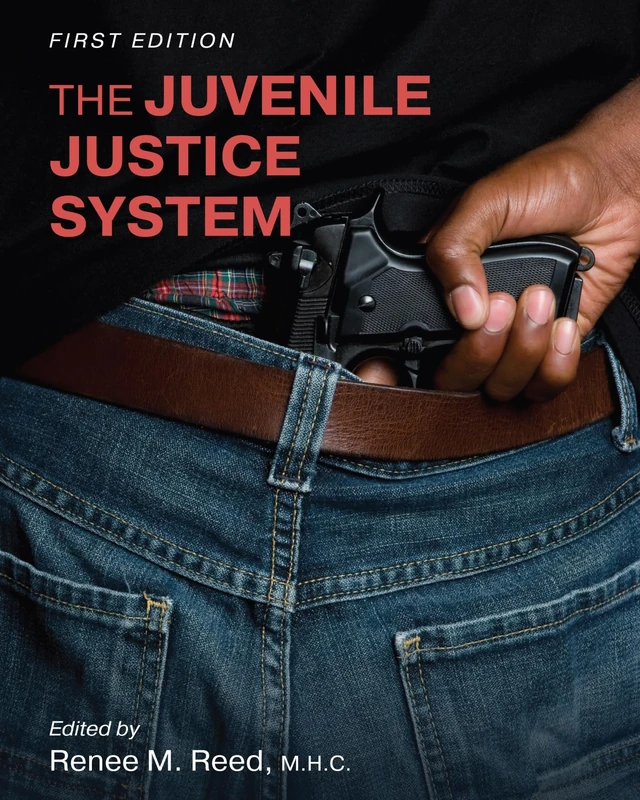 The Juvenile Justice System