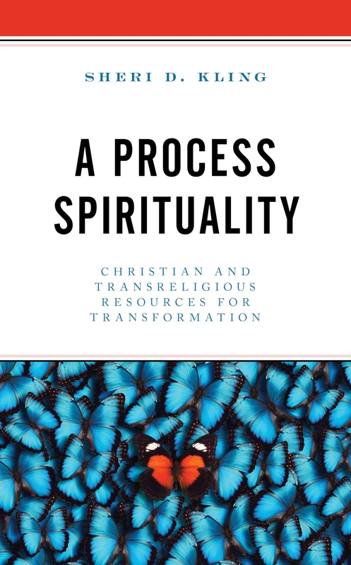A Process Spirituality: Christian and Transreligious Resources for Transformation - Image 1