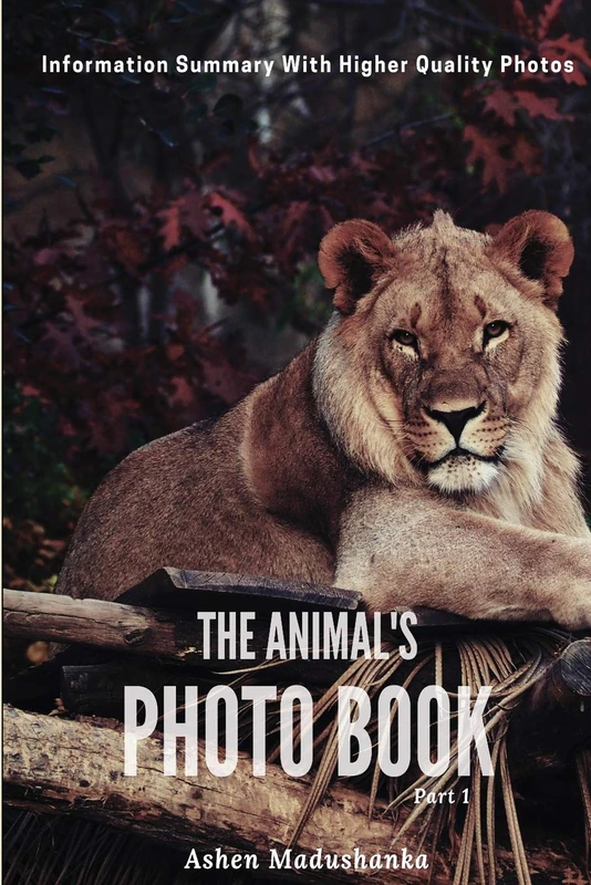 THE ANIMAL'S PHOTO BOOK : Part 1: Information Summary With Higher Quality Photos