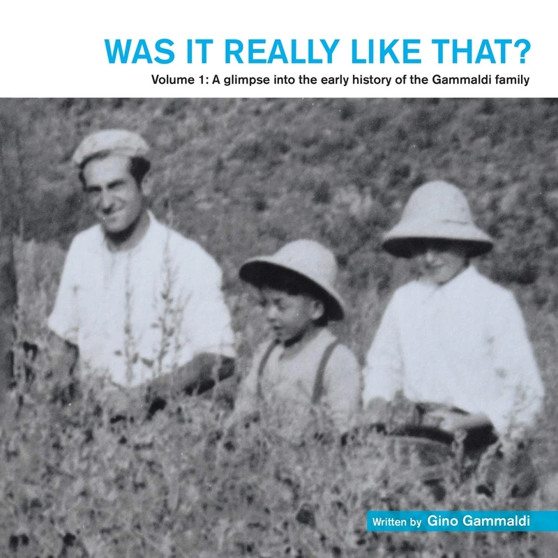Was It Really Like That?: Volume 1: a Glimpse into the Early History of the Gammaldi Family - Image 1
