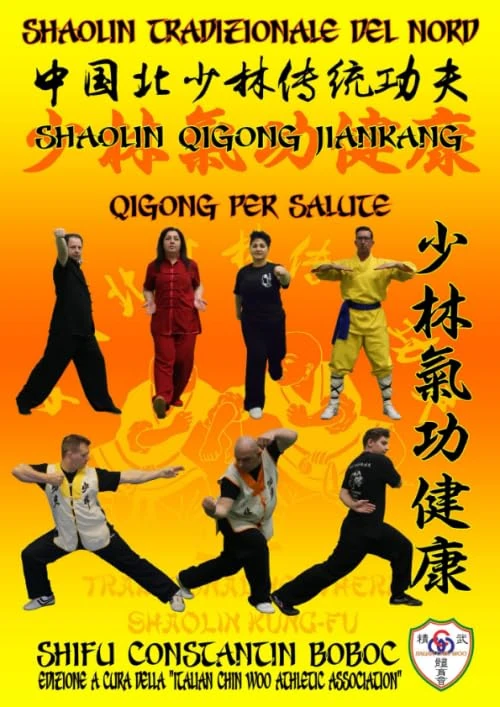 Shaolin Tradizionale del Nord Vol.11: QiGong Medico per la Salute (Shaolin Kung Fu Enciclopedia it)