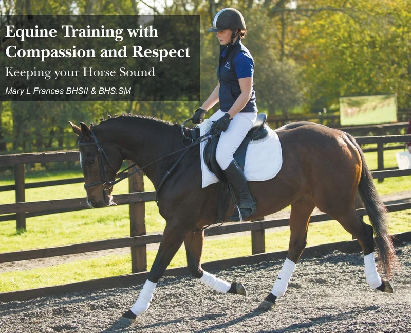 Equine Training with Compassion and Respect: Keeping your Horse Sound