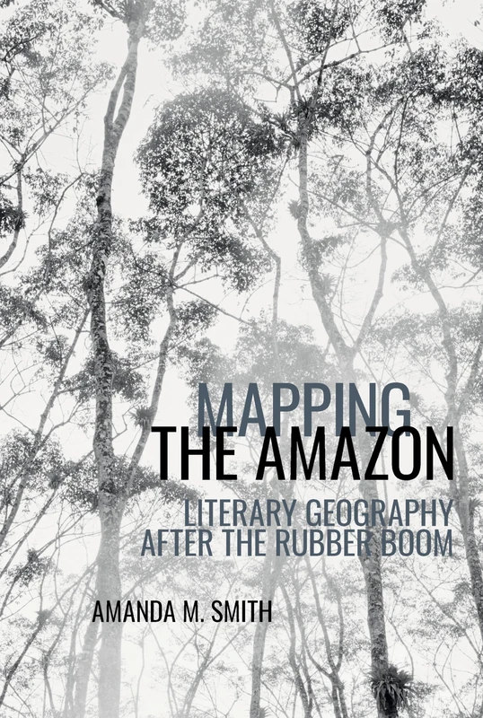 Mapping the Amazon: Literary Geography after the Rubber Boom: 8 (American Tropics: Towards a Literary Geography)