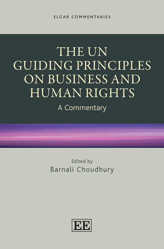 The UN Guiding Principles on Business and Human Rights: A Commentary (Elgar Commentaries in Human Rights series)