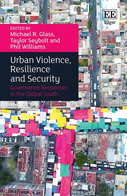 Urban Violence, Resilience and Security: Governance Responses in the Global South - Image 1