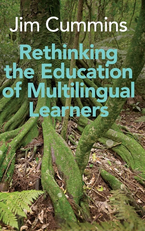 Rethinking the Education of Multilingual Learners: A Critical Analysis of Theoretical Concepts (Linguistic Diversity and Language Rights): 19 - Image 1