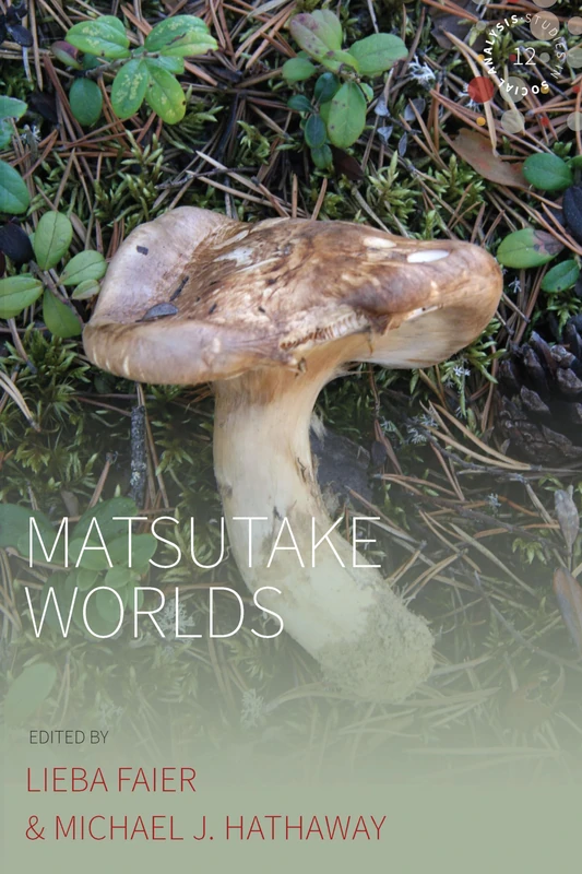 Matsutake Worlds: 12 (Studies in Social Analysis)