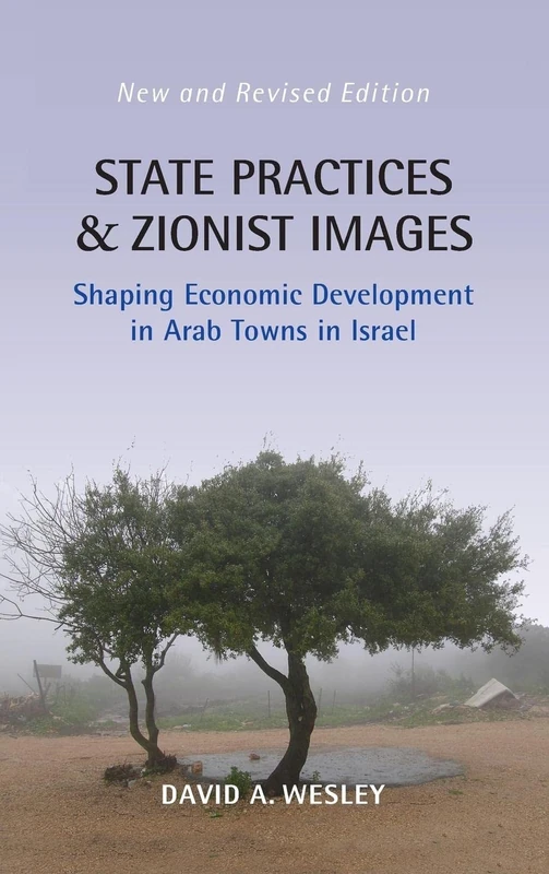State Practices and Zionist Images: Shaping Economic Development in Arab Towns in Israel: 0