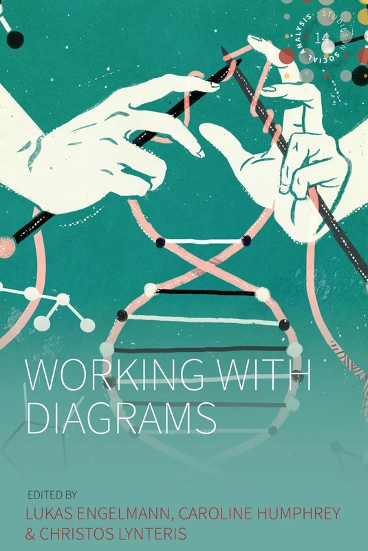 Working With Diagrams: 14 (Studies in Social Analysis, 14)