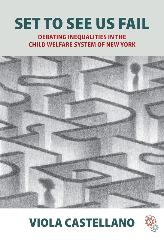 Set to See Us Fail: Debating Inequalities in the Child Welfare System of New York: 3 (Anthropology at Work)