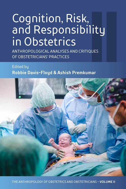 Cognition, Risk, and Responsibility in Obstetrics: Anthropological Analyses and Critiques of Obstetricians’ Practices: 2 (The Anthropology of ... Reproduction of a Biomedical Profession, 2)