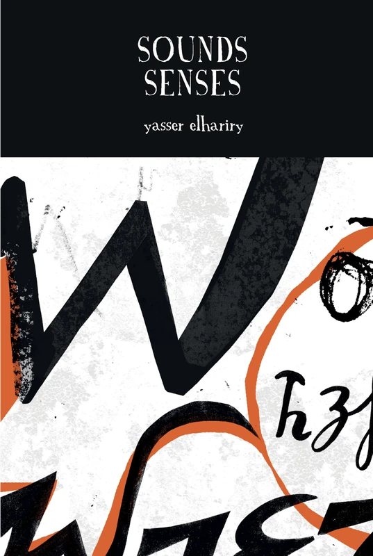 Sounds Senses (Francophone Postcolonial Studies): 12