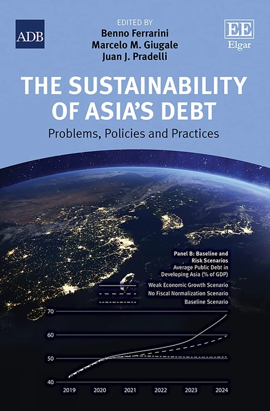 The Sustainability of Asia’s Debt: Problems, Policies, and Practices - Image 1