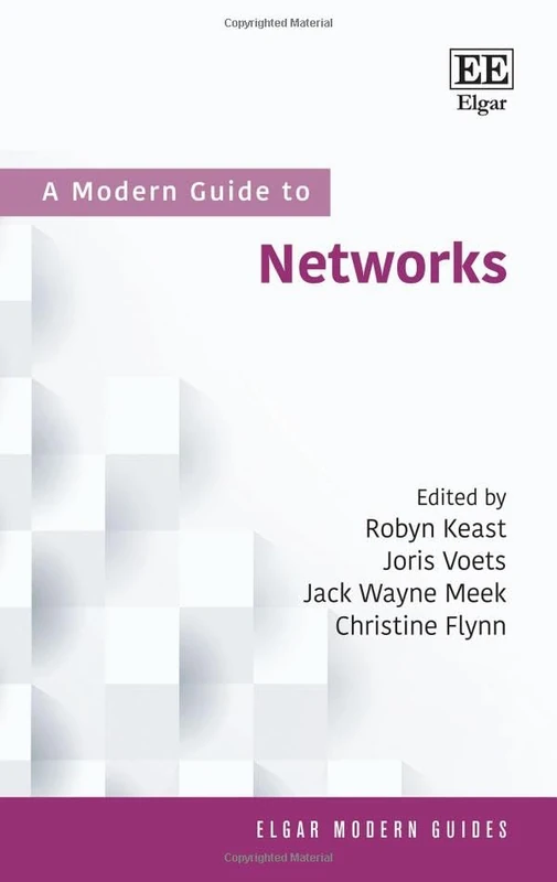 A Modern Guide to Networks (Elgar Modern Guides)