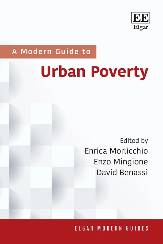 A Modern Guide to Urban Poverty (Elgar Modern Guides) - Image 1