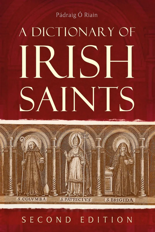 A dictionary of Irish Saints
