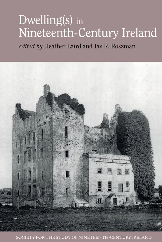 Dwelling(s) in Nineteenth-Century Ireland: 9 (Society for the Study of Nineteenth Century Ireland)