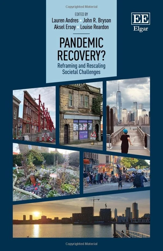 Pandemic Recovery?: Reframing and Rescaling Societal Challenges