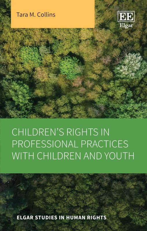 Children’s Rights in Professional Practices with Children and Youth (Elgar Studies in Human Rights)