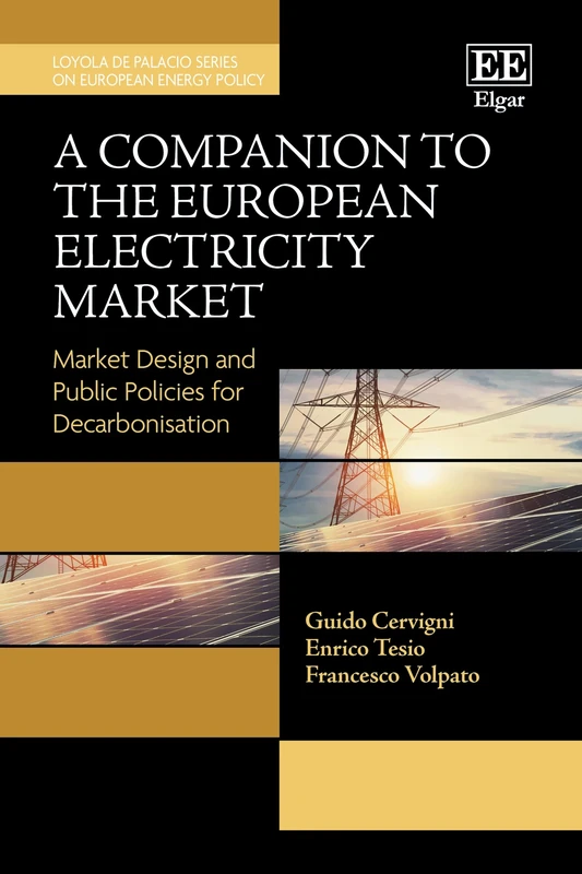 A Companion to the European Electricity Market: Market Design and Public Policies for Decarbonisation (Loyola de Palacio Series on European Energy Policy)