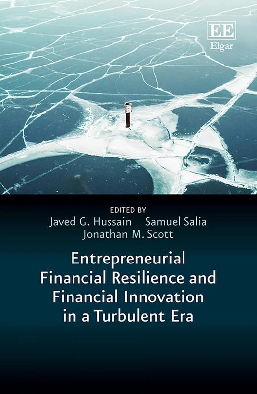 Entrepreneurial Financial Resilience and Financial Innovation in a Turbulent Era (In a Turbulent Era series)