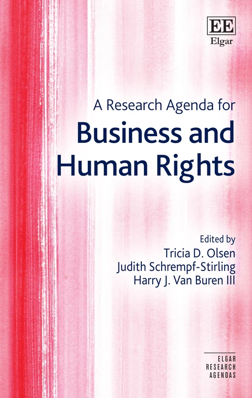A Research Agenda for Business and Human Rights (Elgar Research Agendas)