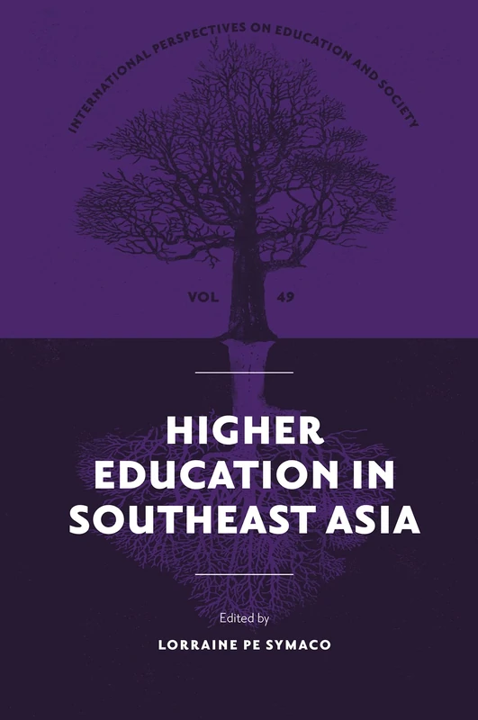 Higher Education in Southeast Asia: 49 (International Perspectives on Education and Society, 49)