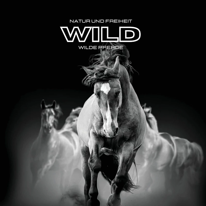 Natur und Freiheit WILD Wilde Pferde: Farbiges Fotoalbum. Geschenkidee für Tier- und Naturliebhaber. Fotobuch zum Thema Pferd.