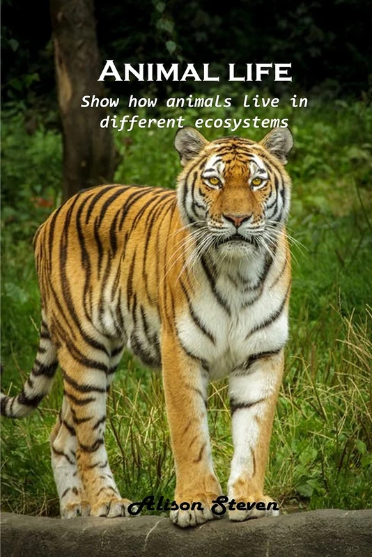 Animal life: Show how animals live in different ecosystems