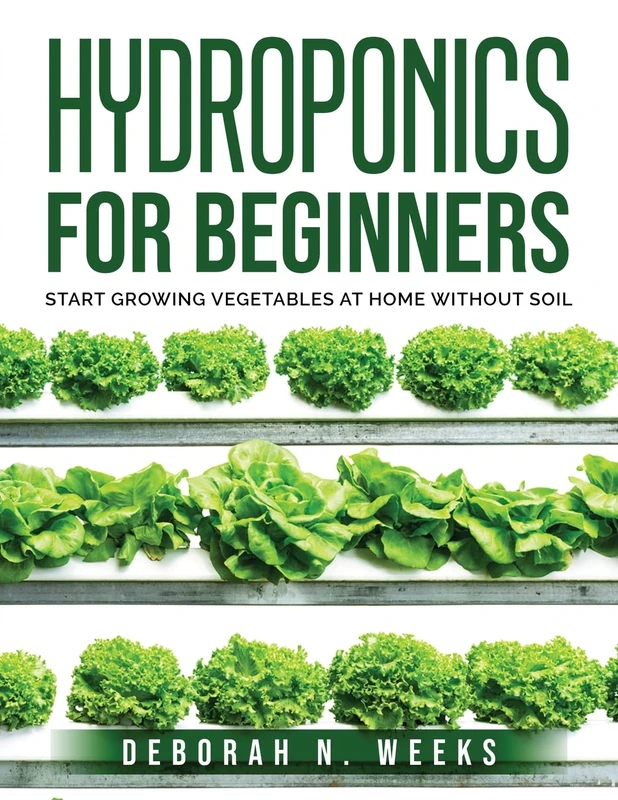 Hydroponics for Beginners: Start Growing Vegetables at Home Without Soil
