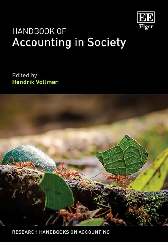 Handbook of Accounting in Society (Research Handbooks on Accounting series)