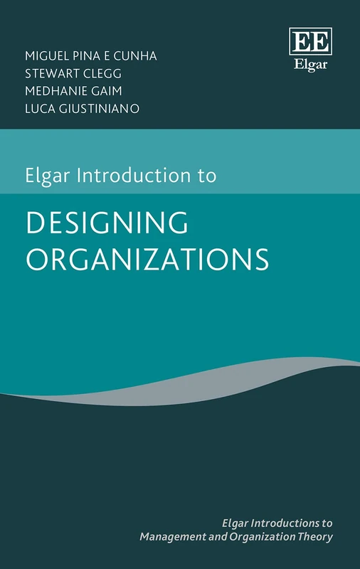Elgar Introduction to Designing Organizations (Elgar Introductions to Management and Organization Theory series)