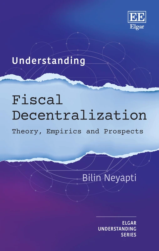 Understanding Fiscal Decentralization: Theory, Empirics and Prospects (Understanding series)