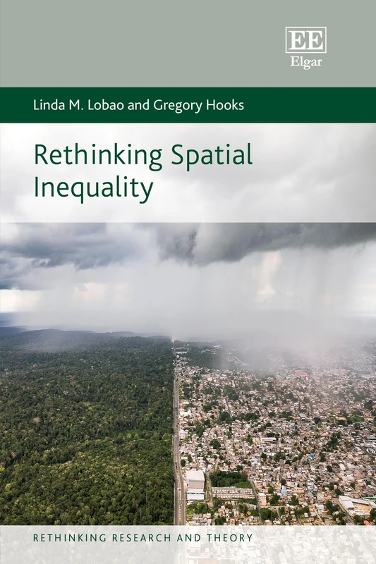 Rethinking Spatial Inequality (Rethinking Research and Theory series)