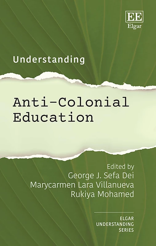 Understanding Anti-Colonial Education (Understanding series)