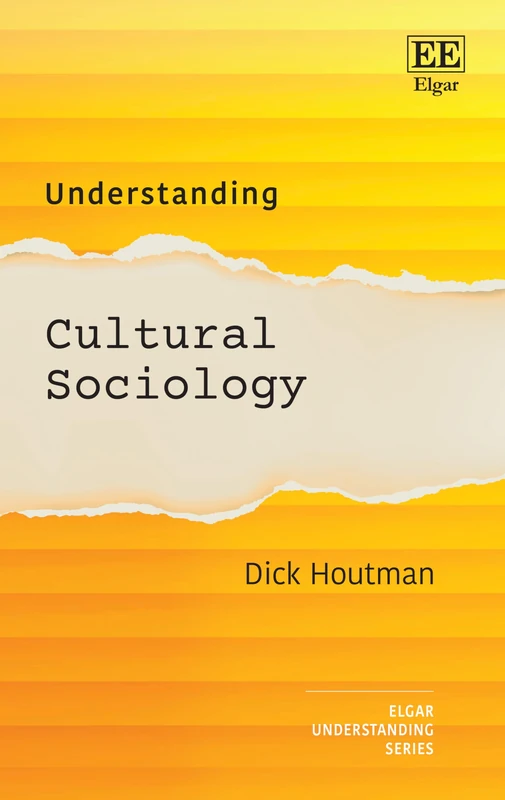 Understanding Cultural Sociology (Understanding series)