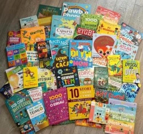 Pecyn Llyfrau Cymraeg -100
