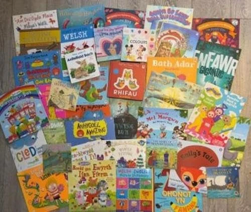 Pecyn Llyfrgell Ysgol / School Library Pack - 50 llyfr - Image 1