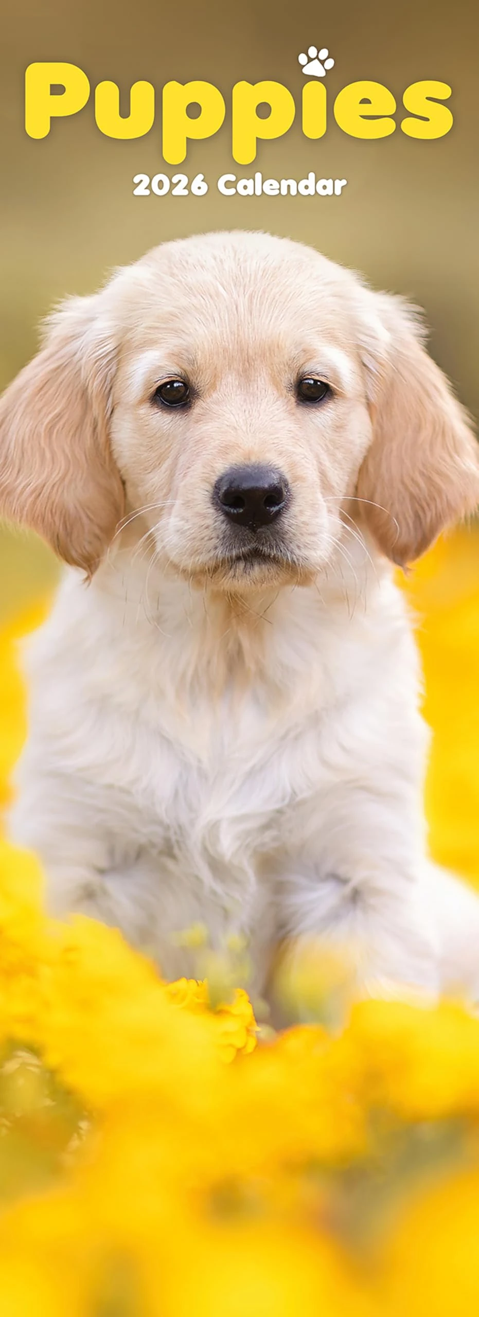 Puppies Slim 2026 Calendar | Slimline Wall Calendar | Dog Breed Gift | Plastic Free Packaging | by Avonside Publishing