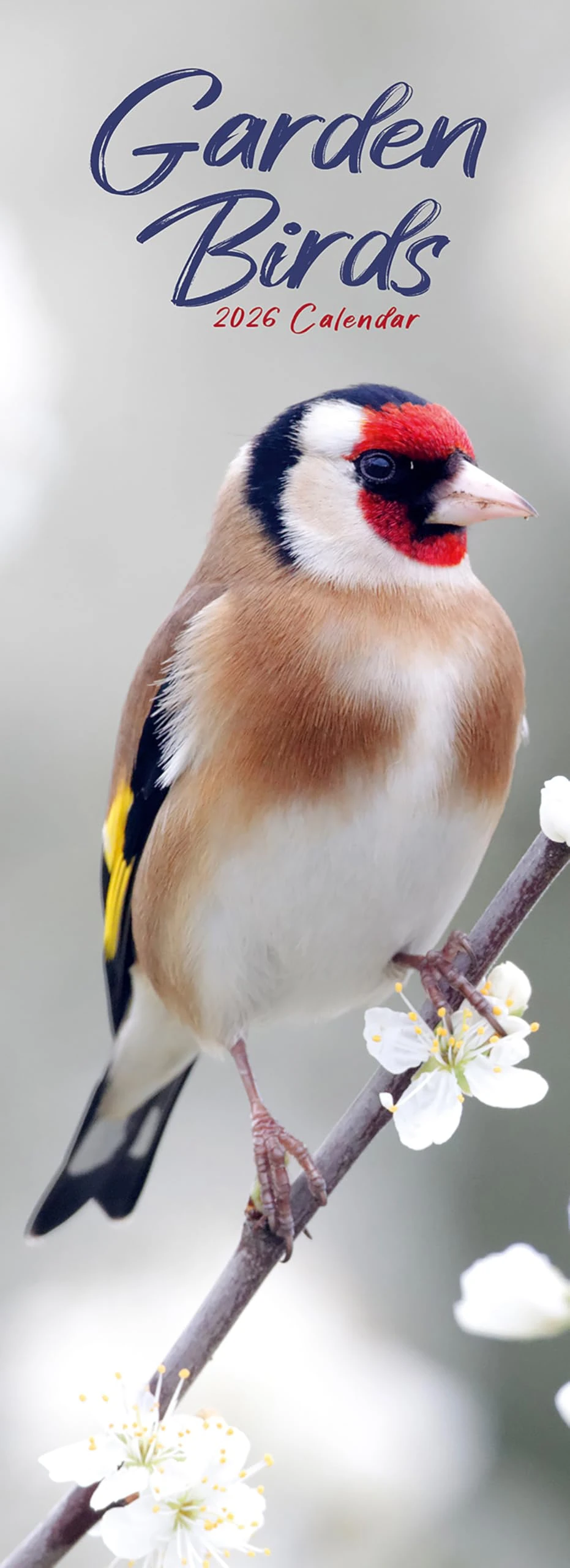 Garden Birds Slim 2026 Calendar | Slimline Wall Calendar | Bird Gift | Plastic Free Packaging | by Avonside Publishing