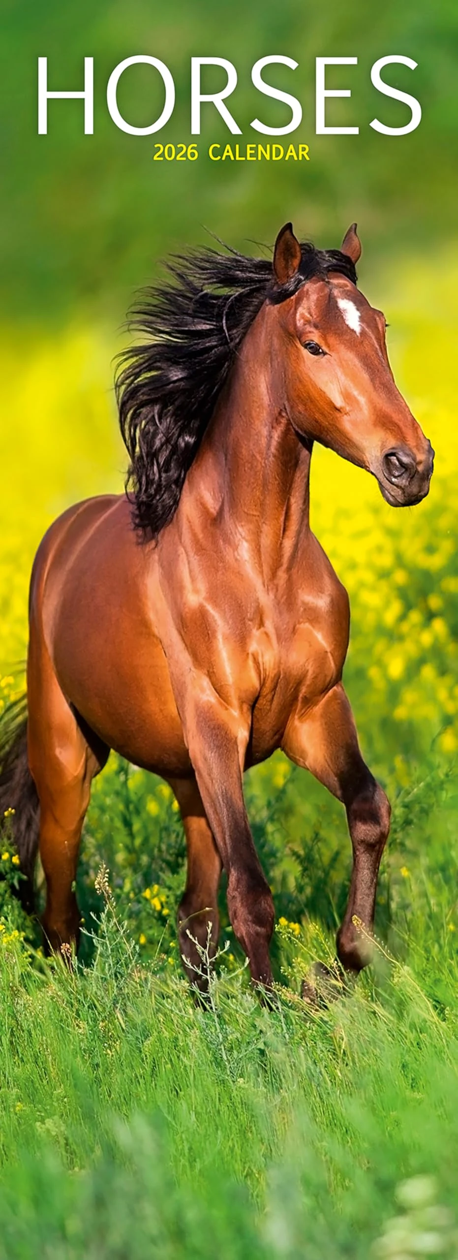 Horses Slim 2026 Calendar | Slimline Wall Calendar | Animal Gift | Plastic Free Packaging | by Avonside Publishing