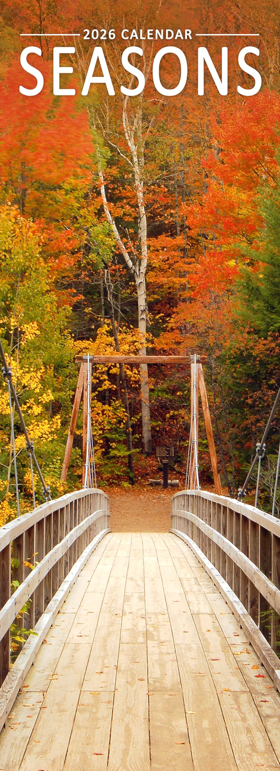 Seasons Slim 2026 Calendar | Slimline Wall Calendar | Travel & Nature Gift | Plastic Free Packaging | by Avonside Publishing