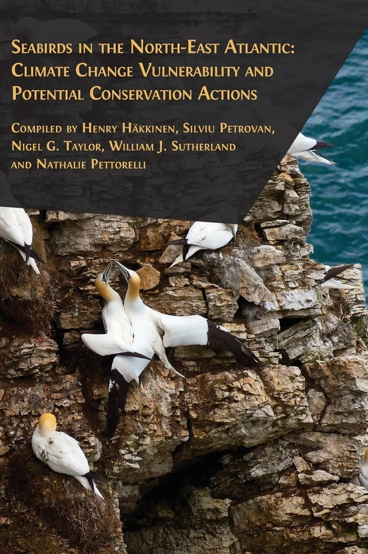 Seabirds in the North-East Atlantic - Image 1