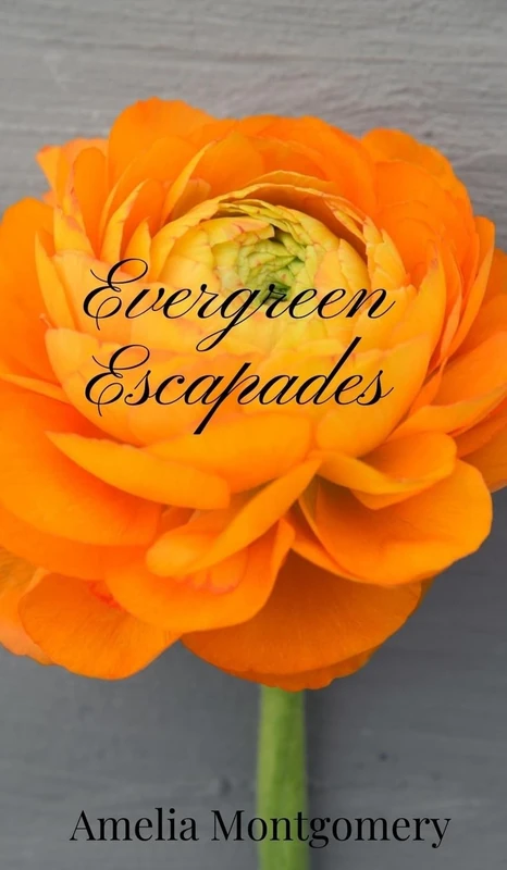 Evergreen Escapades